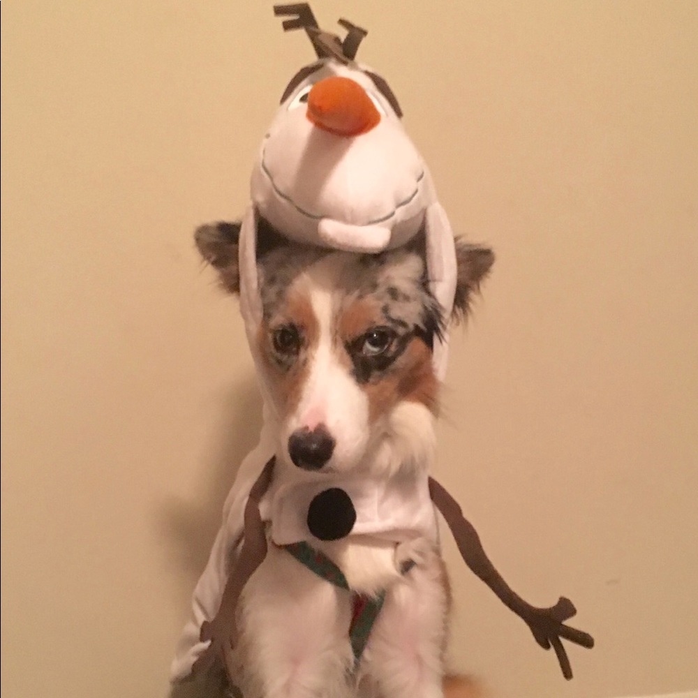 Disney Olaf Dog Costume Size L